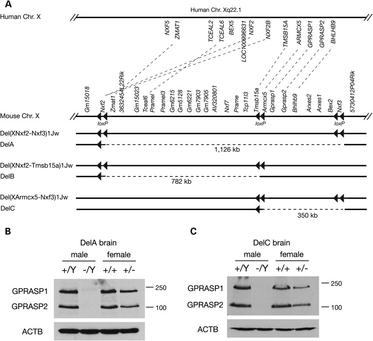 Figure 1.