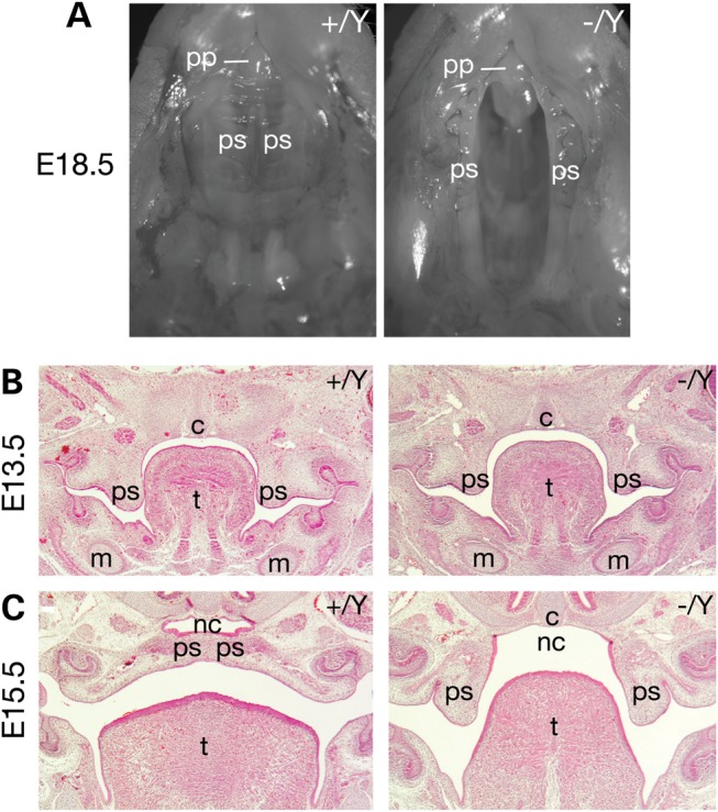 Figure 3.