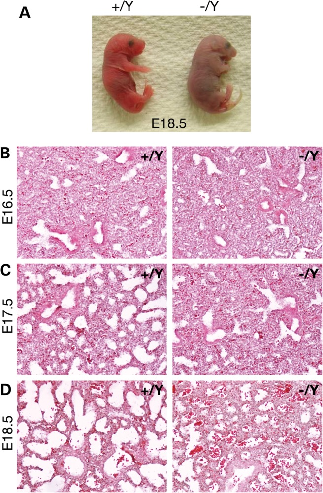 Figure 2.