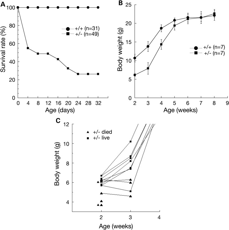 Figure 4.