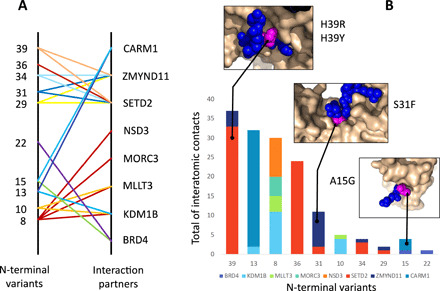 Histone H3.3 beyond cancer: Germline mutations in Histone 3 Family 3A ...