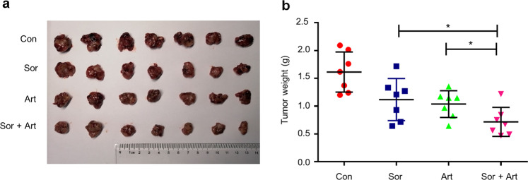 Fig. 8