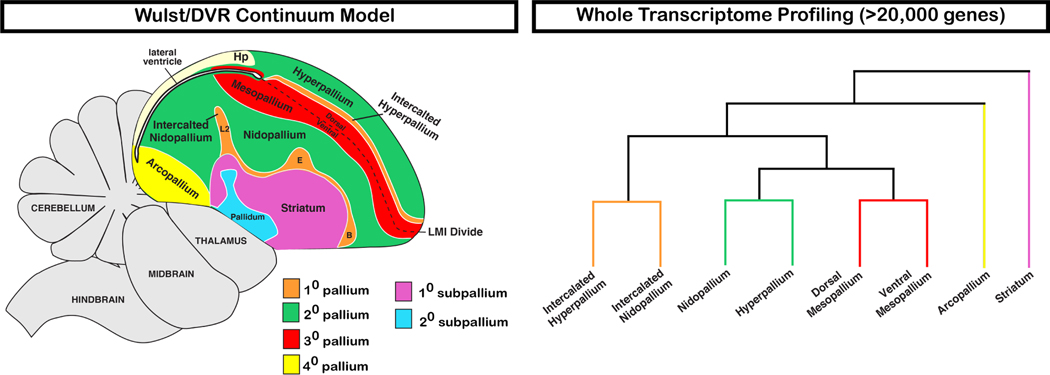 FIGURE 11