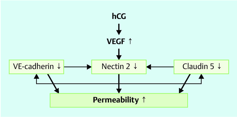 Fig. 1