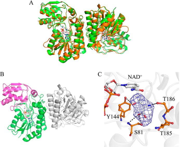 FIGURE 1.