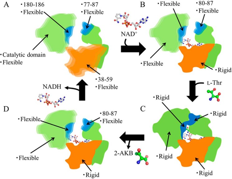 FIGURE 6.