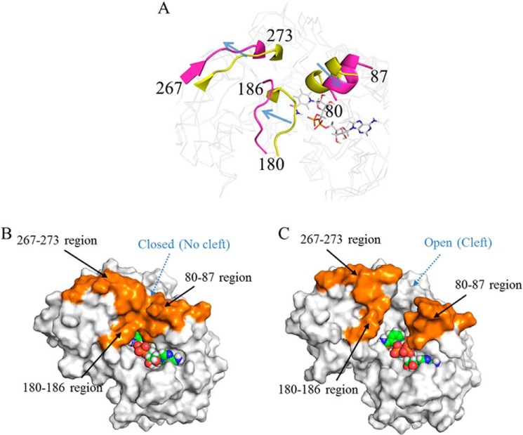 FIGURE 4.