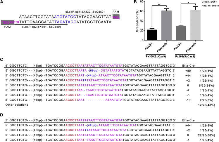 Figure 4