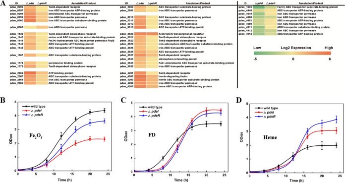 FIG 3