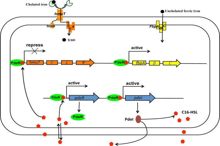 FIG 6