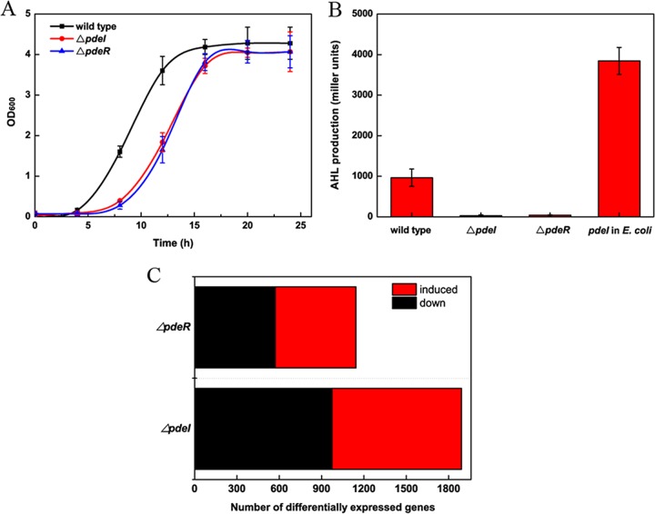 FIG 2