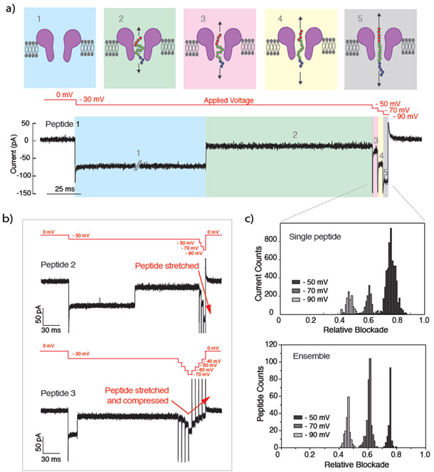 Figure 6: