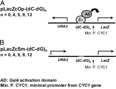 Fig 1.