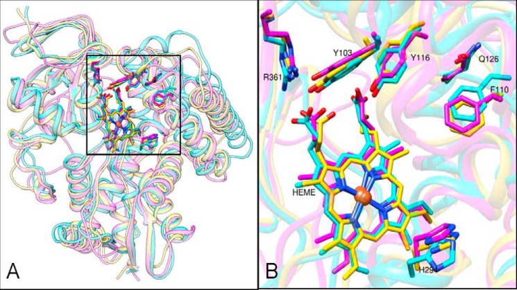 FIGURE 14.