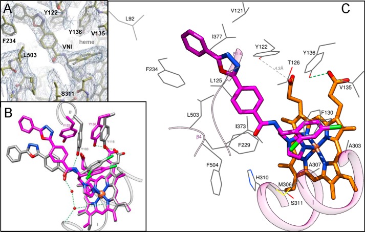 FIGURE 12.