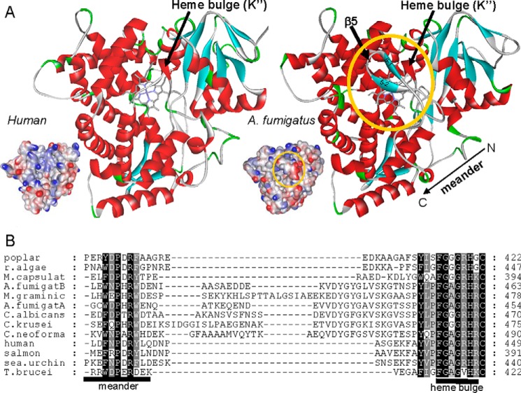 FIGURE 16.