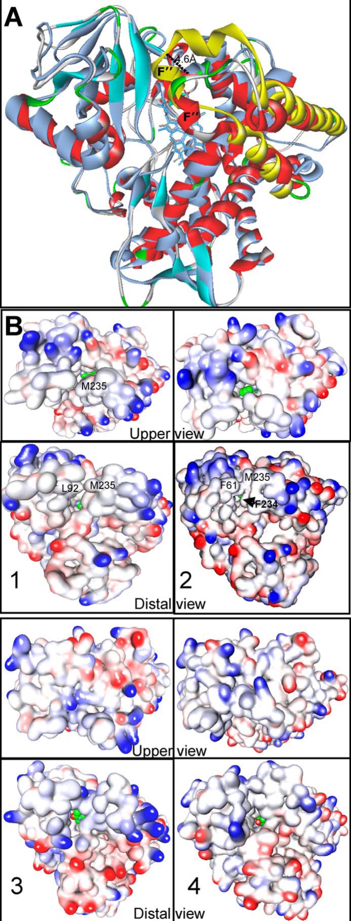 FIGURE 15.