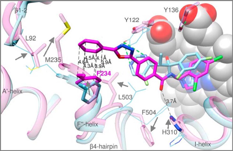 FIGURE 13.