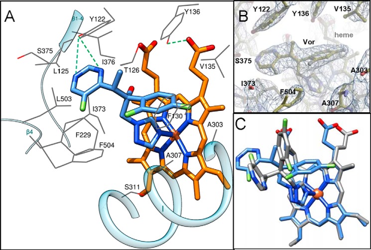 FIGURE 11.