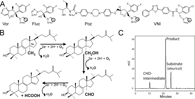 FIGURE 1.