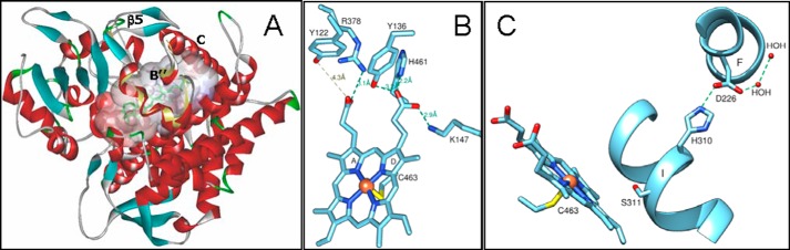 FIGURE 10.