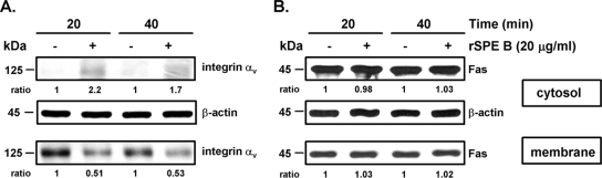 FIG. 8.