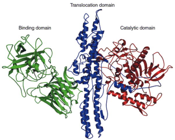 Fig. 1