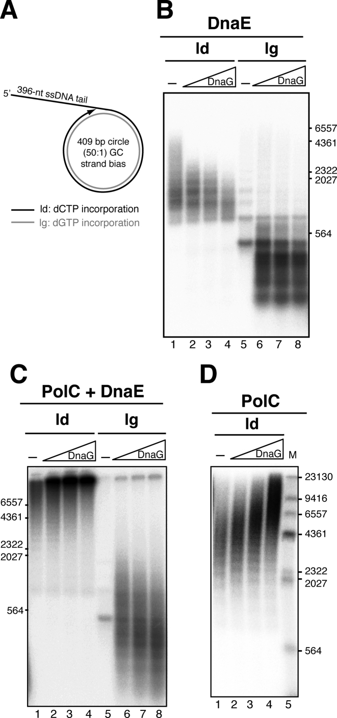 Figure 5.