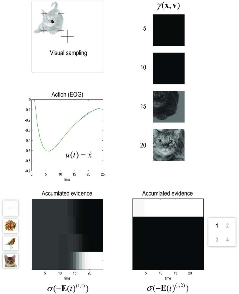 Figure 13. 