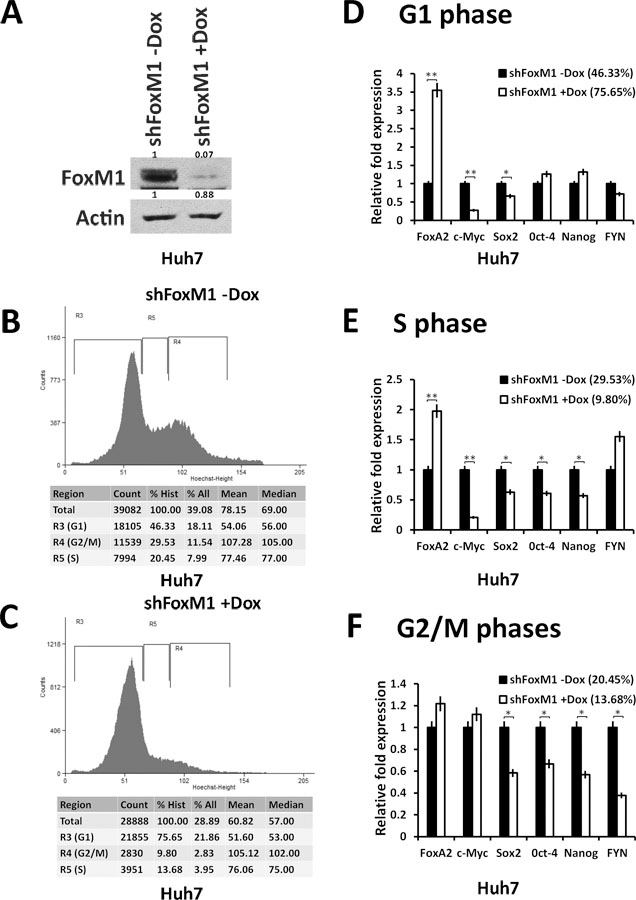 Figure 5: