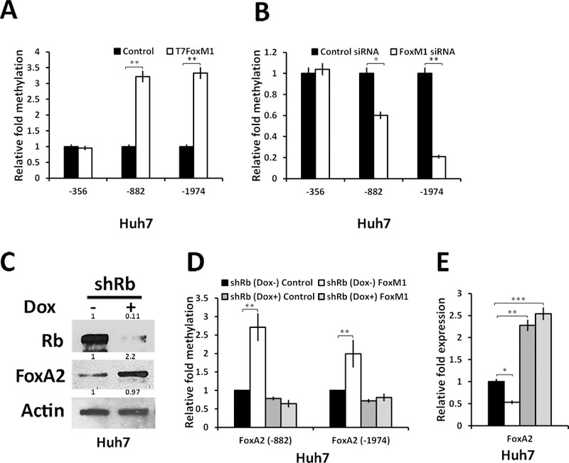 Figure 4: