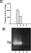 FIG. 5