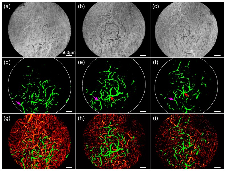 Fig. 6