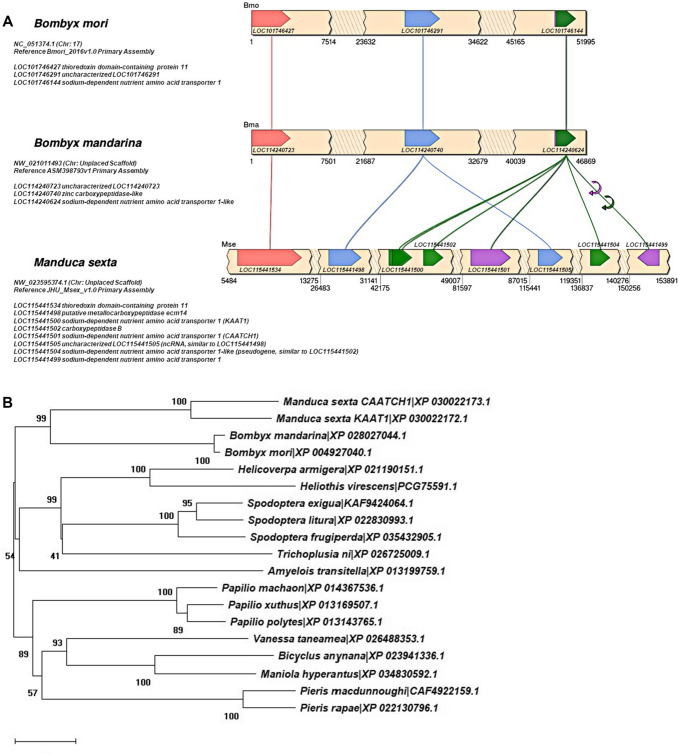 Fig. 4