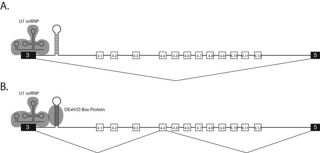 FIG. 7.