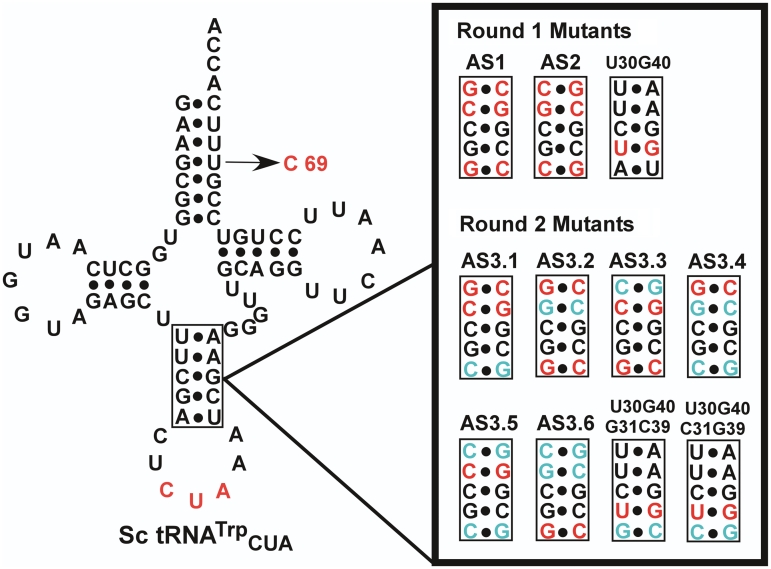 Figure 5.