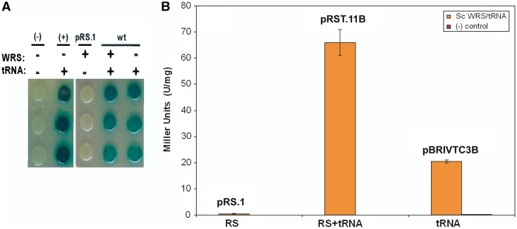 Figure 2.