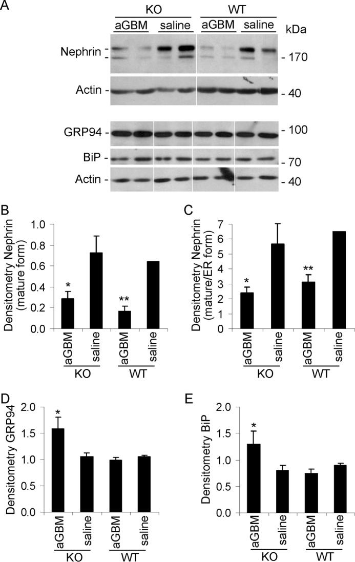 FIGURE 10.