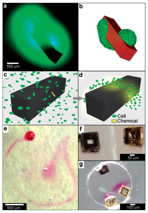 Fig. 9