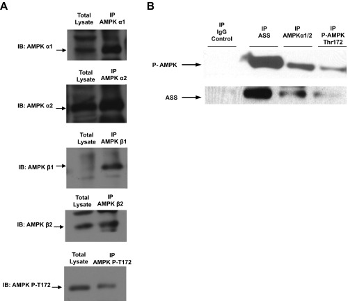 Fig. S6.