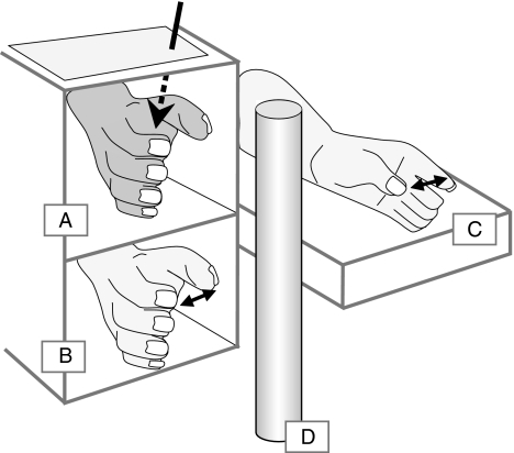 Fig. 1