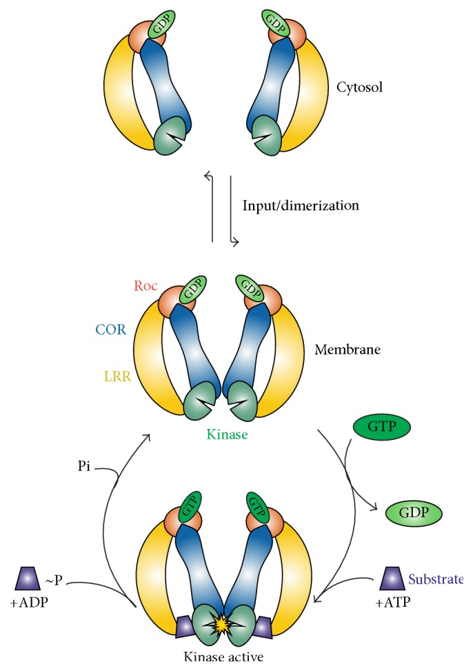 Figure 2