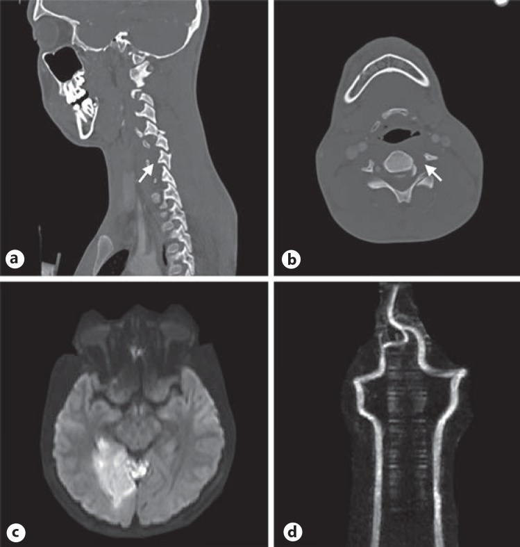 Fig. 5