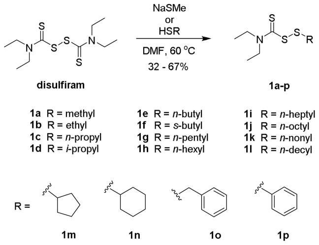 Scheme 1