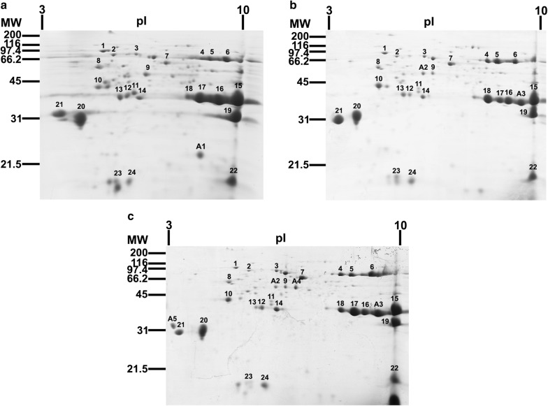 Fig. 2