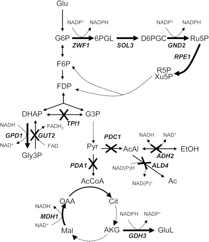 Fig. 2