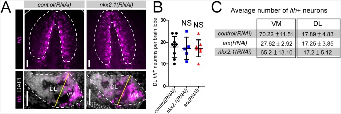 Figure 3—figure supplement 2.