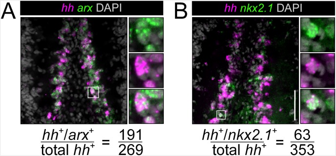 Figure 3—figure supplement 3.