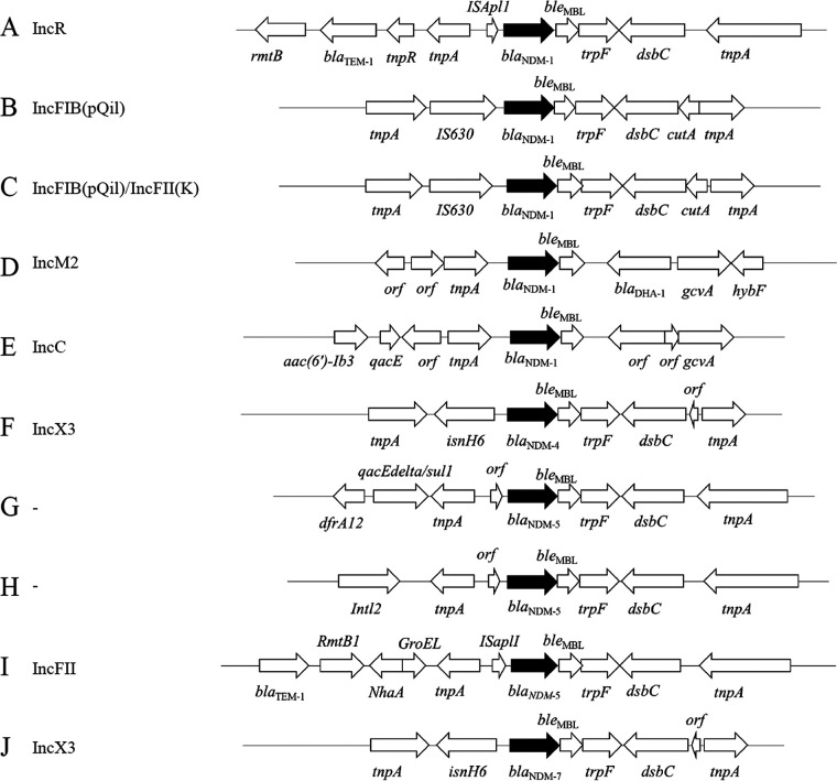 FIG 2