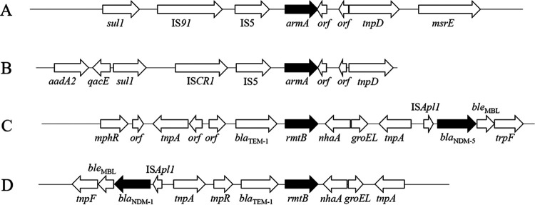 FIG 3